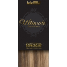 22" Clip In Human Hair Extensions ULTIMATE FULL HEAD #8/613 Light Brown/ Bleach Blonde